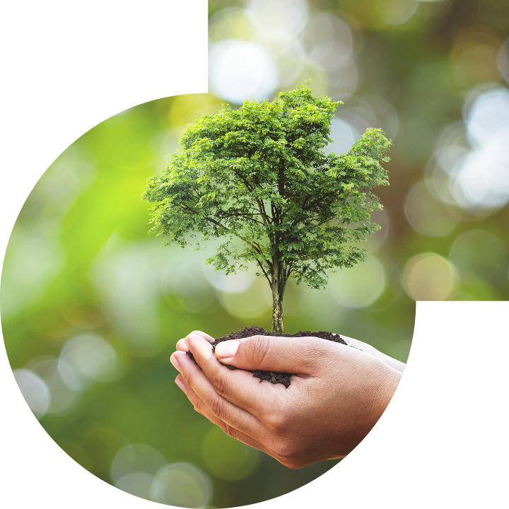 关怀人类、文化、环境与社会